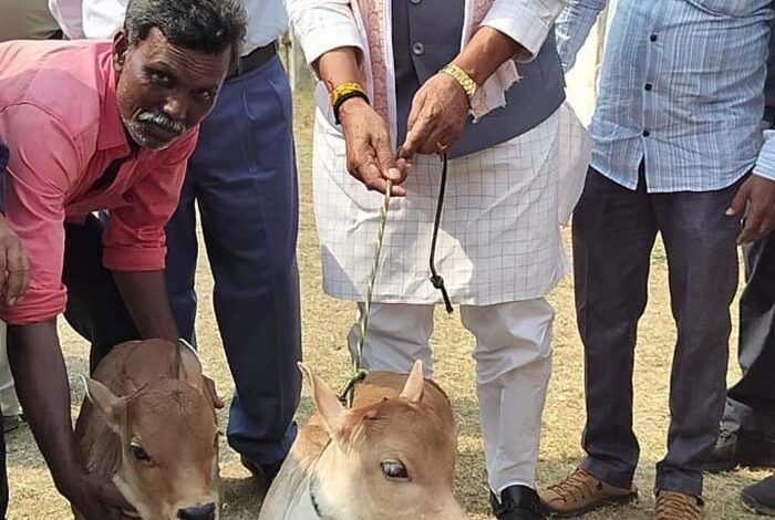 पशुपालन-राज्य-मंत्री-पटेल-ने-किया-पुंगनूर-संरक्षण-एवं-अनुसंधान-केन्द्र,-पालमनेर-का-भ्रमण