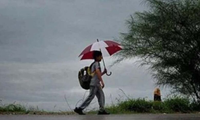 प्रदेश-में-रुक-रुककर-वर्षा-का-सिलसिला-जारी,-भोपाल,-नर्मदापुरम-में-बौछारें-पड़ने-के-आसार-हैं