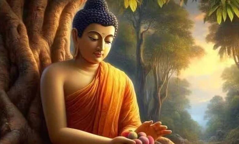 आज-बुद्ध-जयन्ती,-नगर-निगम-क्षेत्र-में-मांस-मटन-की-बिक्री-पूर्ण-रूप-से-प्रतिबंधित